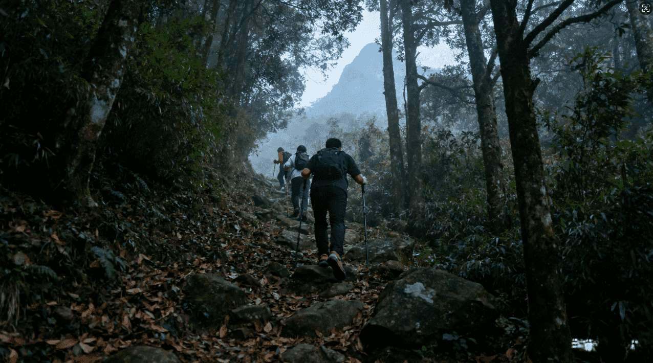 789加速器卸载驱动遇到问题解决方案推荐
